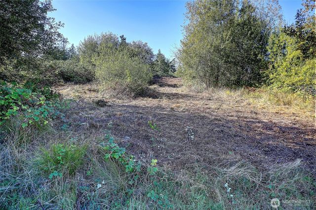 0 S Old Homestead Ln, Camano Island, WA 98282