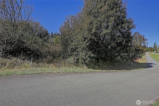 0 S Old Homestead Ln, Camano Island, WA 98282