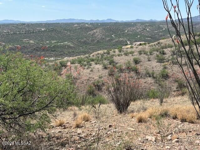 1462 Circulo Sombrero, Rio Rico, AZ 85648