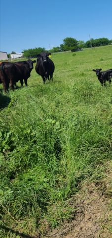TBD Us-69 Highway, Lone Oak, TX 75453