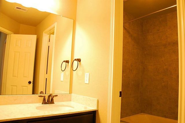 29322 Wood Lily Drive, Katy, TX 77494