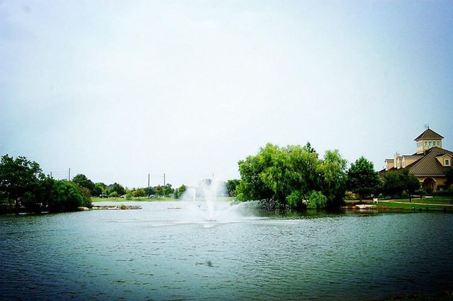 29322 Wood Lily Drive, Katy, TX 77494