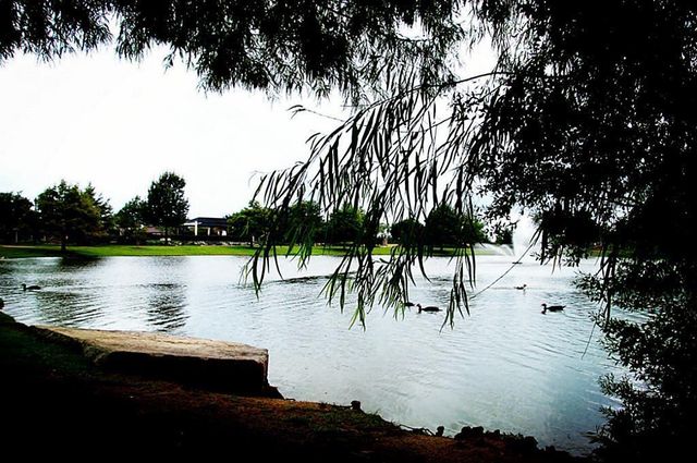 29322 Wood Lily Drive, Katy, TX 77494