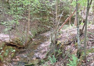 0 Payne Road, Tellico Plains, TN 37385