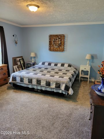 3729 Bryan Hardy Road, La Grange, NC 28551