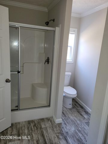 3729 Bryan Hardy Road, La Grange, NC 28551