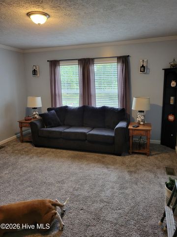 3729 Bryan Hardy Road, La Grange, NC 28551