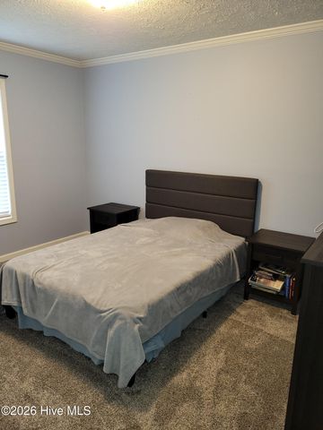 3729 Bryan Hardy Road, La Grange, NC 28551