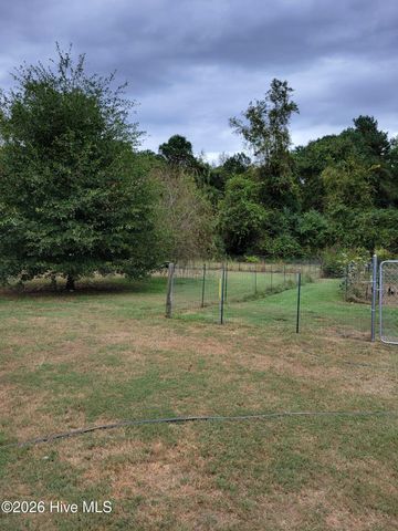 3729 Bryan Hardy Road, La Grange, NC 28551
