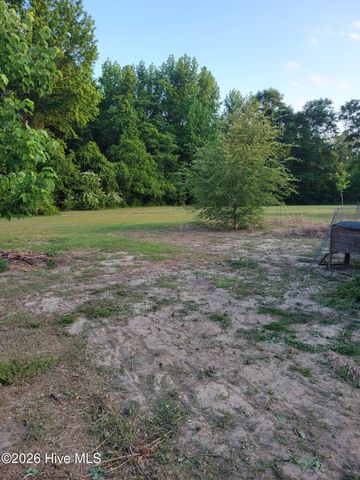 3729 Bryan Hardy Road, La Grange, NC 28551