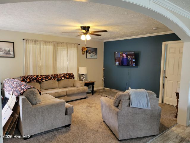 3729 Bryan Hardy Road, La Grange, NC 28551