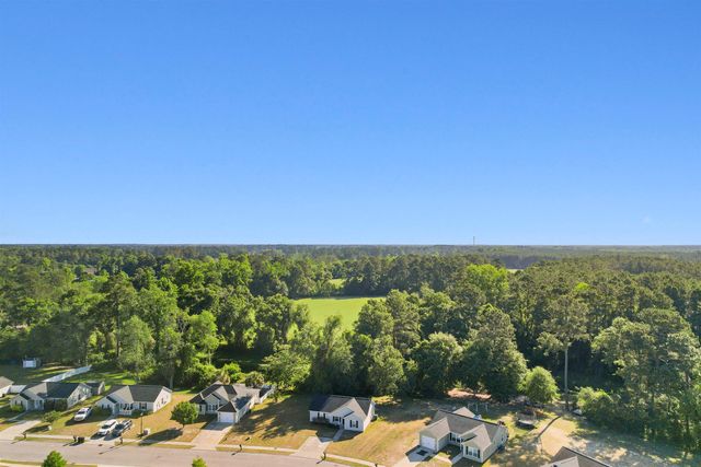 193 Cottage Creek Circle, Conway, SC 29526