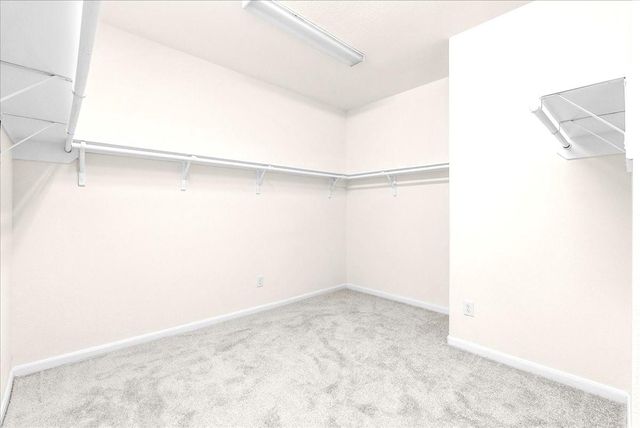 3924 Littlebourne Lane, Pearland, TX 77584