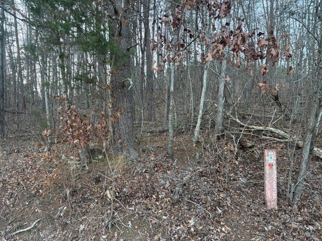 0 Twin Lakes Road, Lafayette, GA 30728