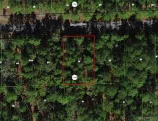 910 W Bannister Drive, Citrus Springs, FL 34434