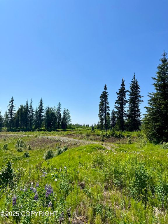 34708 North Fork Road, Anchor Point, AK 99556