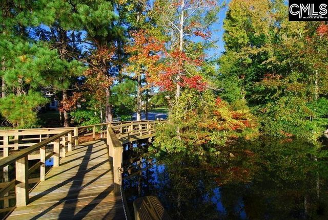 103 Cabot Bay Drive, Chapin, SC 29036