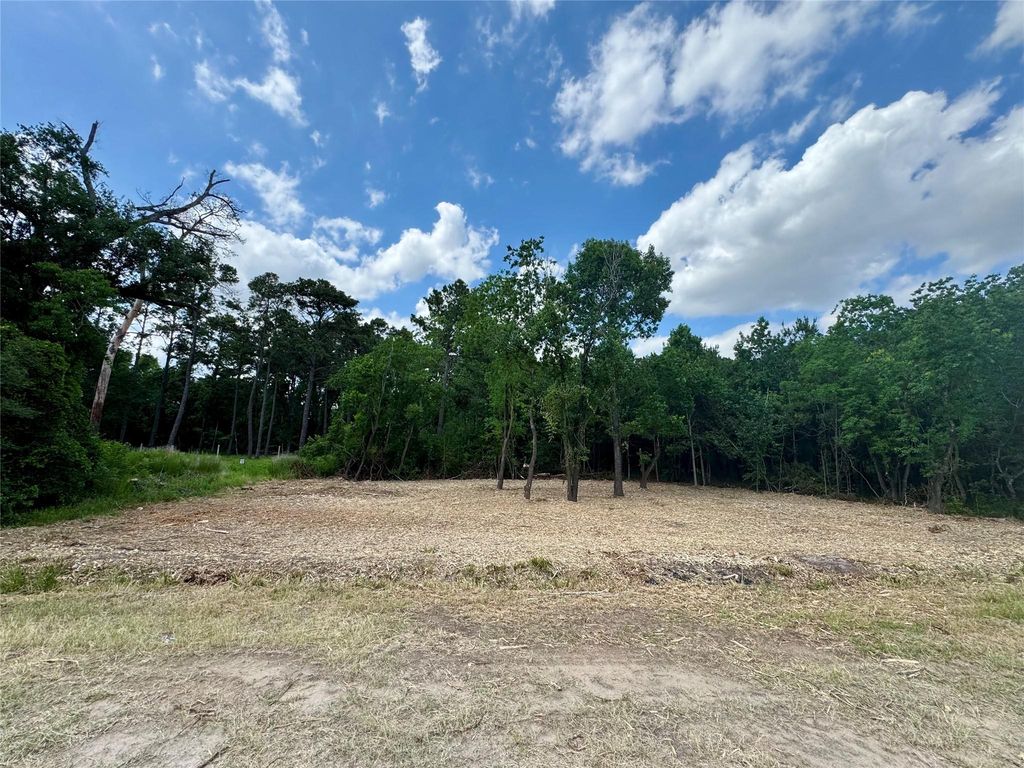 0 W Hardy 31b Road, Houston, TX 77073