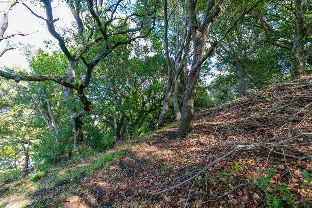 20 Lucille Way, Orinda, CA 94563