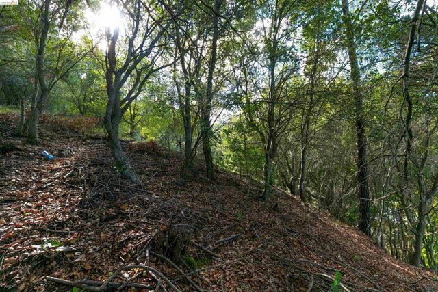 20 Lucille Way, Orinda, CA 94563
