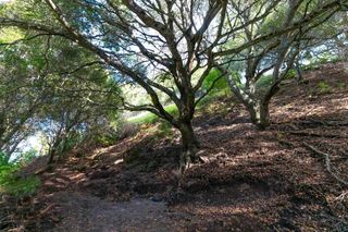 20 Lucille Way, Orinda, CA 94563