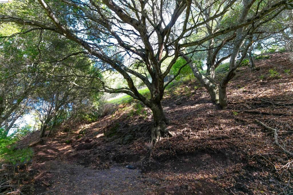 Image 1 of property listing at 20 Lucille Way, Orinda, CA 94563