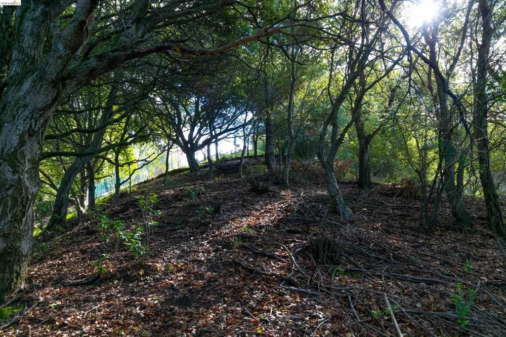 Image 2 of property listing at 20 Lucille Way, Orinda, CA 94563