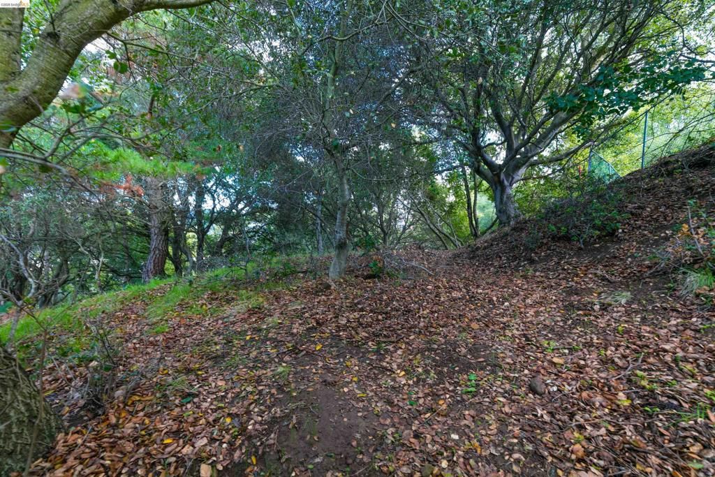 Image 3 of property listing at 20 Lucille Way, Orinda, CA 94563