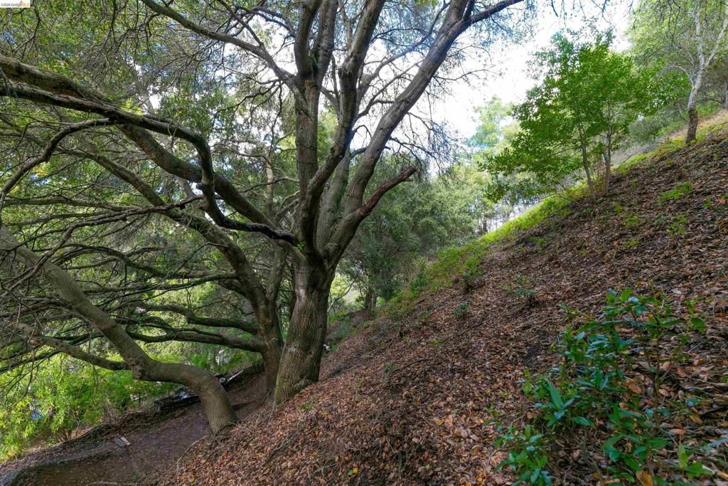Image 4 of property listing at 20 Lucille Way, Orinda, CA 94563