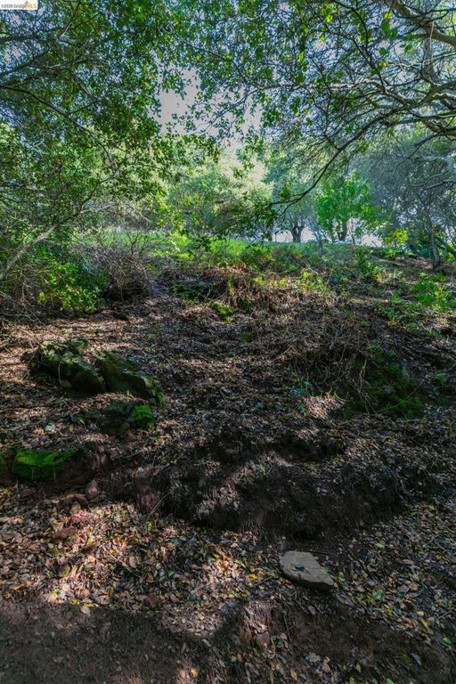 Image 5 of property listing at 20 Lucille Way, Orinda, CA 94563
