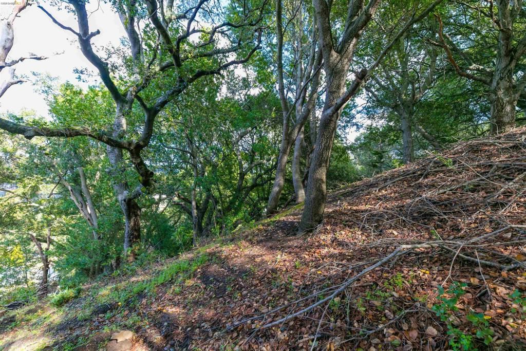 Image 6 of property listing at 20 Lucille Way, Orinda, CA 94563