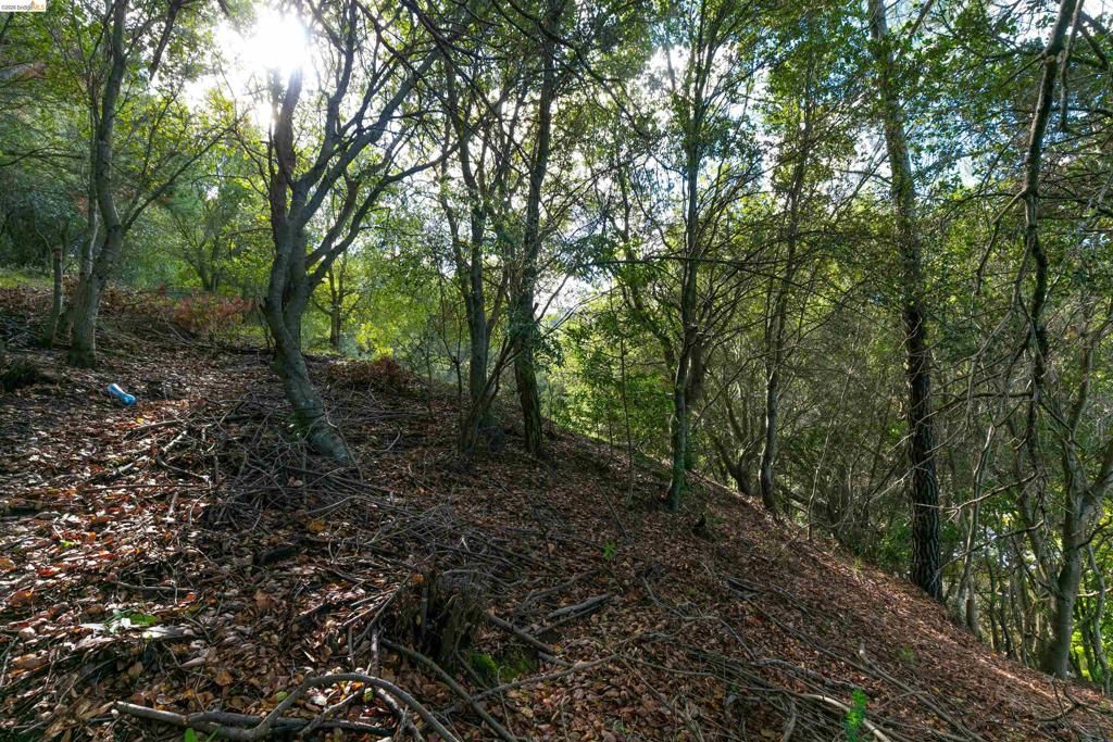 Image 7 of property listing at 20 Lucille Way, Orinda, CA 94563