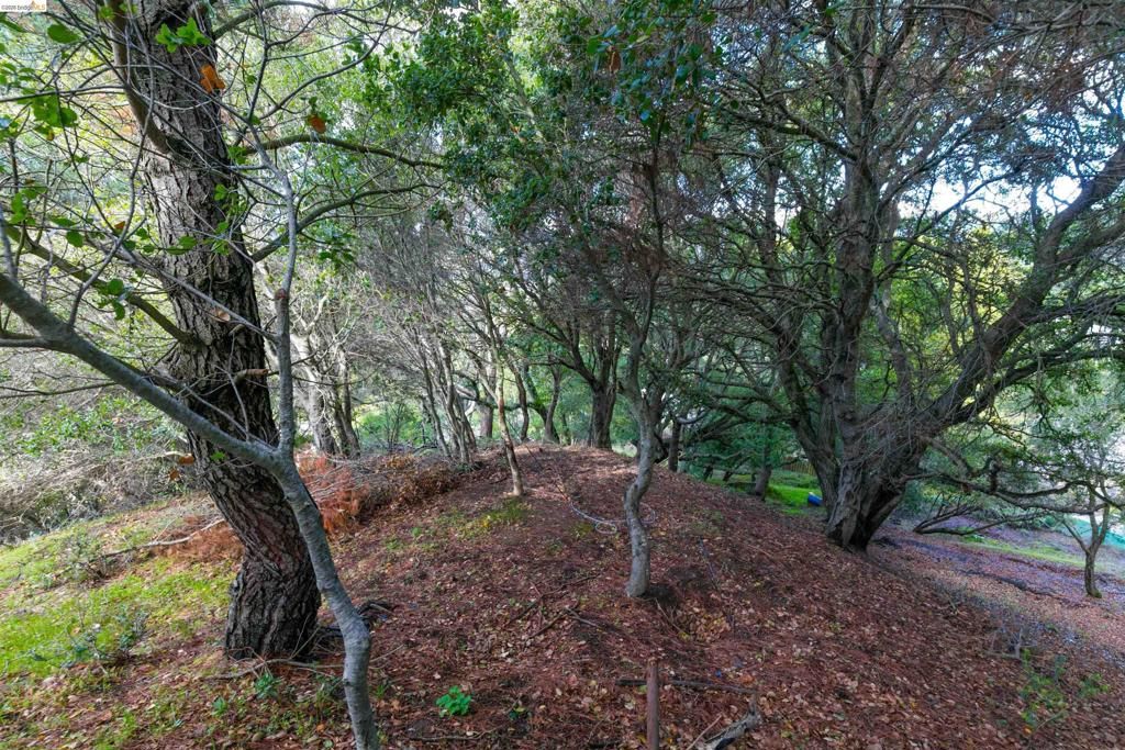 Image 8 of property listing at 20 Lucille Way, Orinda, CA 94563