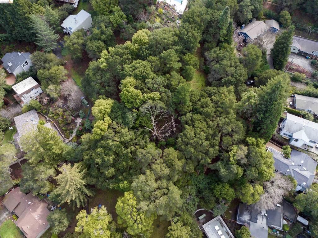 Image 9 of property listing at 20 Lucille Way, Orinda, CA 94563