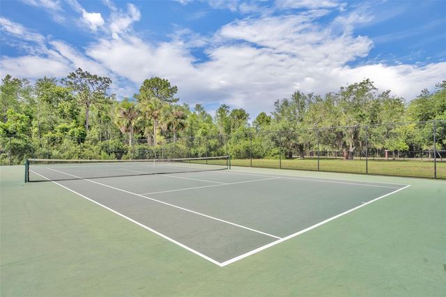 9906 MOSS ROSE WAY, Orlando, FL 32832