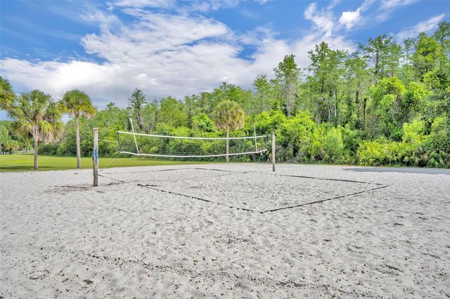 9906 MOSS ROSE WAY, Orlando, FL 32832