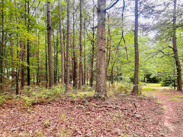 00 Asheville Highway, Campobello, SC 29322