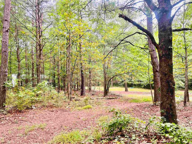 00 Asheville Highway, Campobello, SC 29322