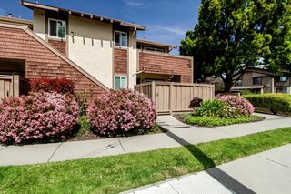 172 Hackamore Lane, Fremont, CA 94539