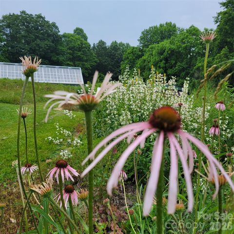 437 Onteora Boulevard, Asheville, NC 28803