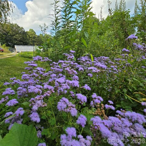 437 Onteora Boulevard, Asheville, NC 28803