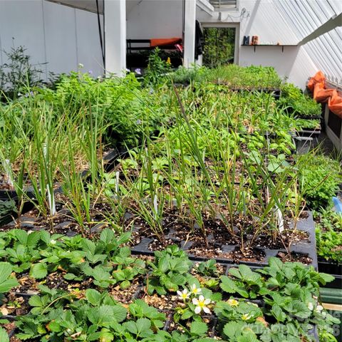 437 Onteora Boulevard, Asheville, NC 28803