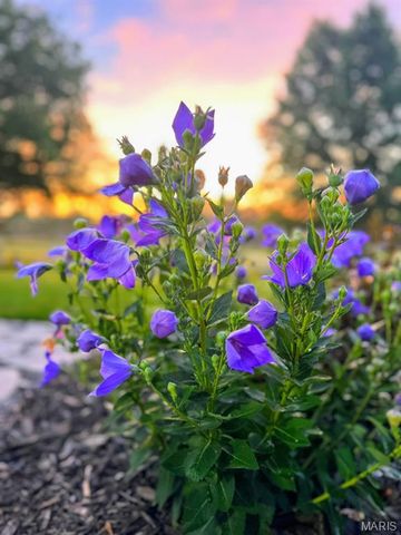 2858 Dardenne Links Drive, O'fallon, MO 63368