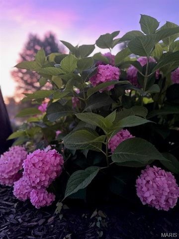 2858 Dardenne Links Drive, O'fallon, MO 63368