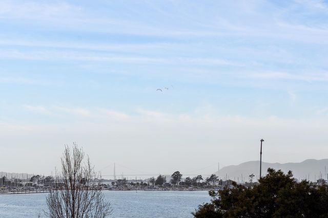 6363 Christie Ave 315, Emeryville, CA 94608