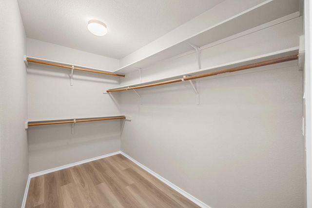 8133 Luling LN, Austin, TX 78729