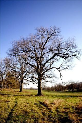 14774 Cove Creek Road, Prairie Grove, AR 72753