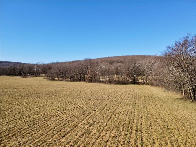 14774 Cove Creek Road, Prairie Grove, AR 72753