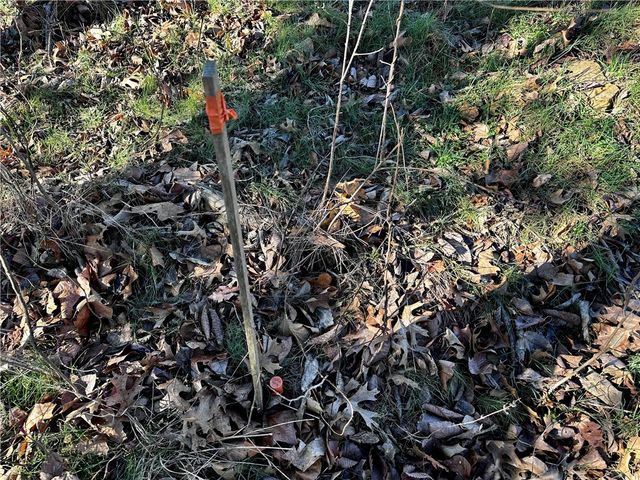 14774 Cove Creek Road, Prairie Grove, AR 72753