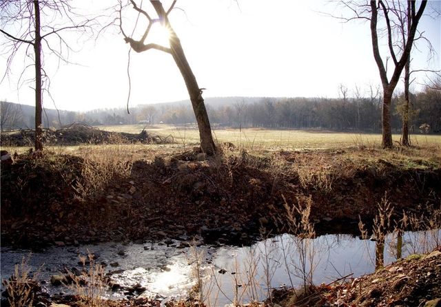 14774 Cove Creek Road, Prairie Grove, AR 72753